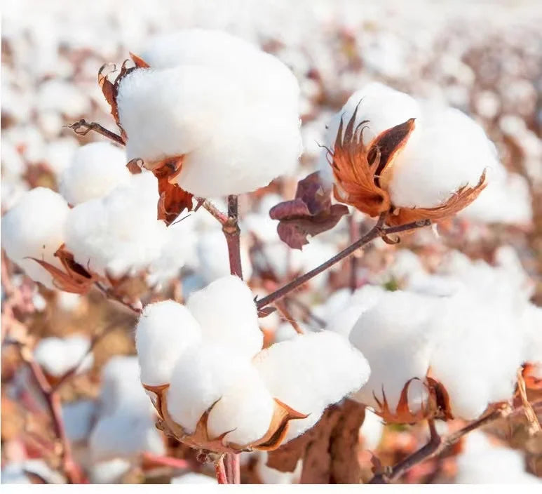 Heavy Black ONE PIECE Luffy Cartoon Printed Cotton T-Shirt - Image 3